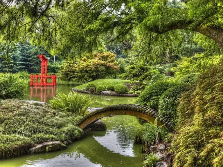 Brooklyn Botanic Garden