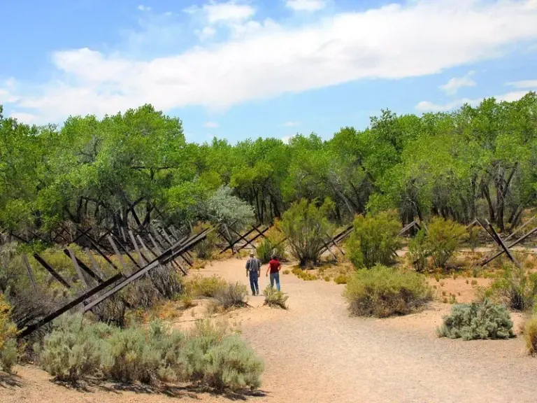 Rio Grande Nature Center State Park