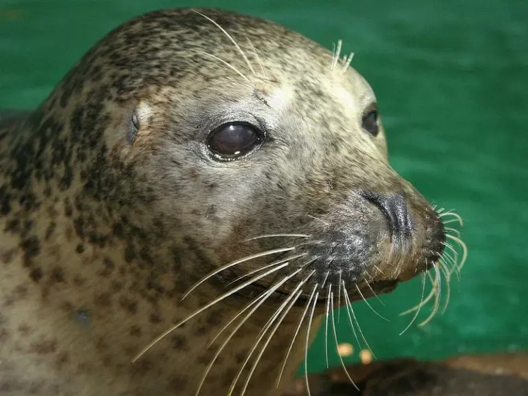 Maritime Aquarium at Norwalk