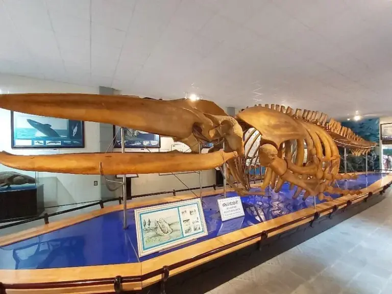 National Oceanographic Museum of Vietnam