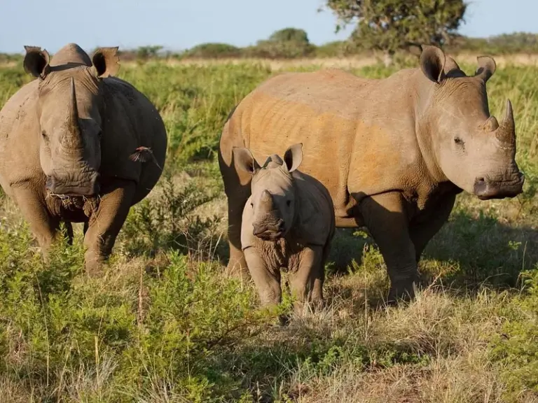 Mosi-oa-Tunya National Park
