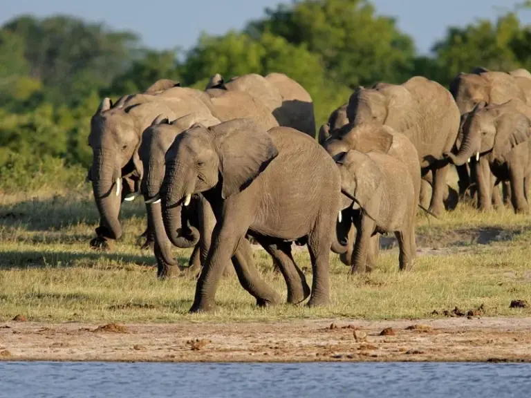 Hwange National Park