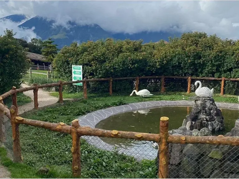 AnimalPark