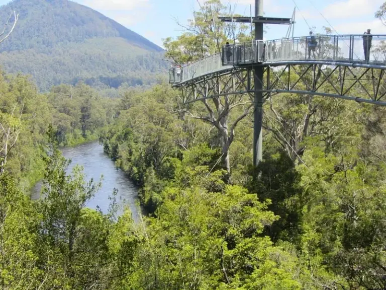 Tahune Forest AirWalk