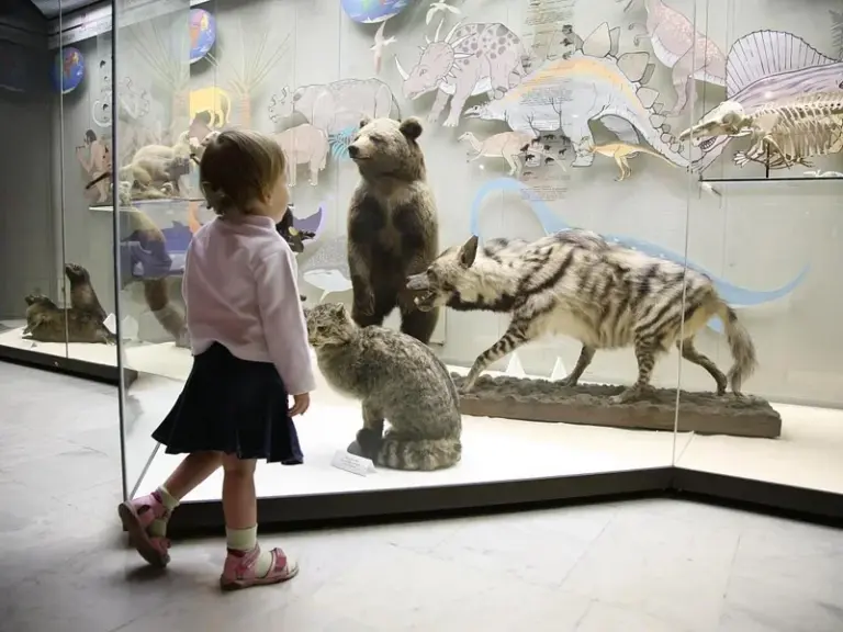 Western Australian Museum – Perth