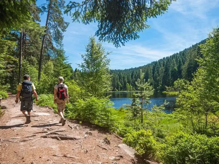 Black Forest