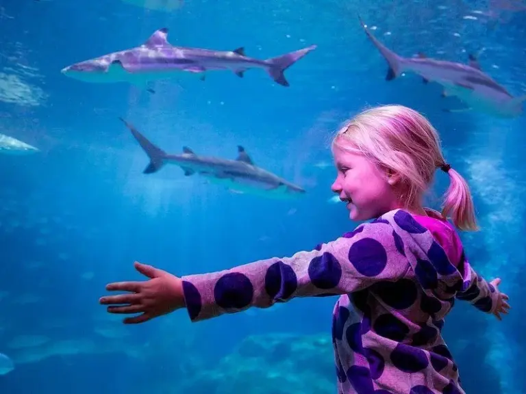 SEA LIFE® Oberhausen