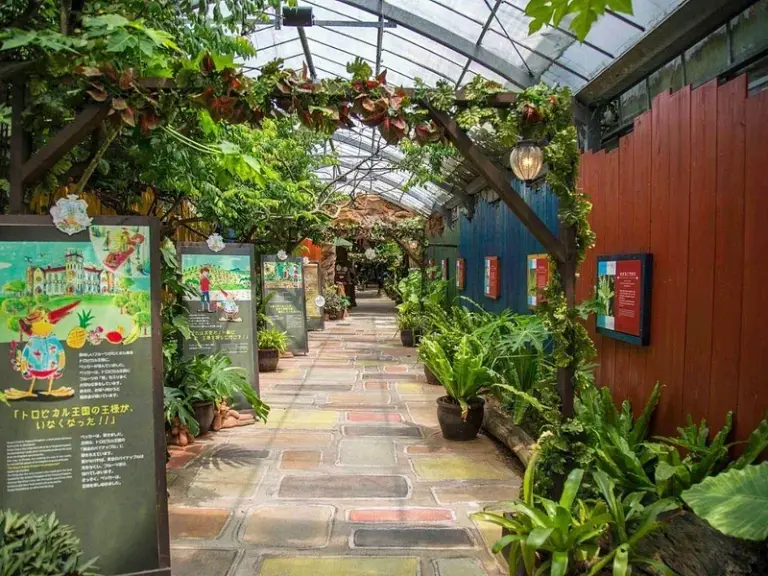 Okinawa Fruits Land