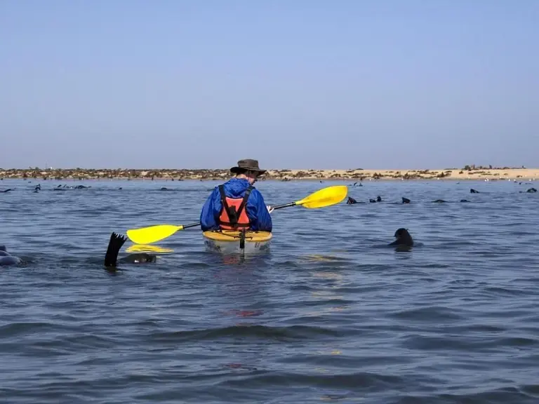 Pelican Point