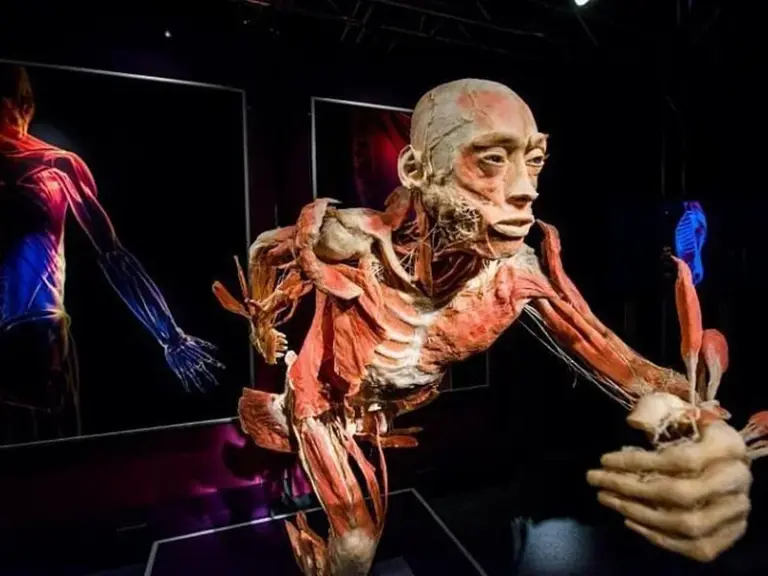Body Worlds Amsterdam