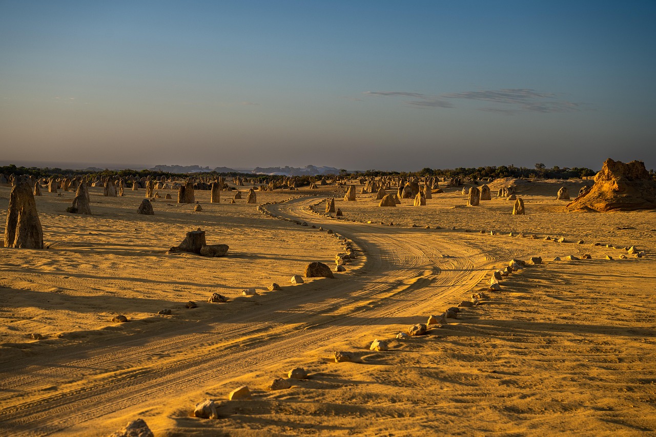 Endless rows of weather-sculpted limestone pinnacles glowing amber at sunset in Nambung National Park — a hauntingly beautiful desert landscape in Western Australia Rows of limestone pinnacles at sunset in golden desert light