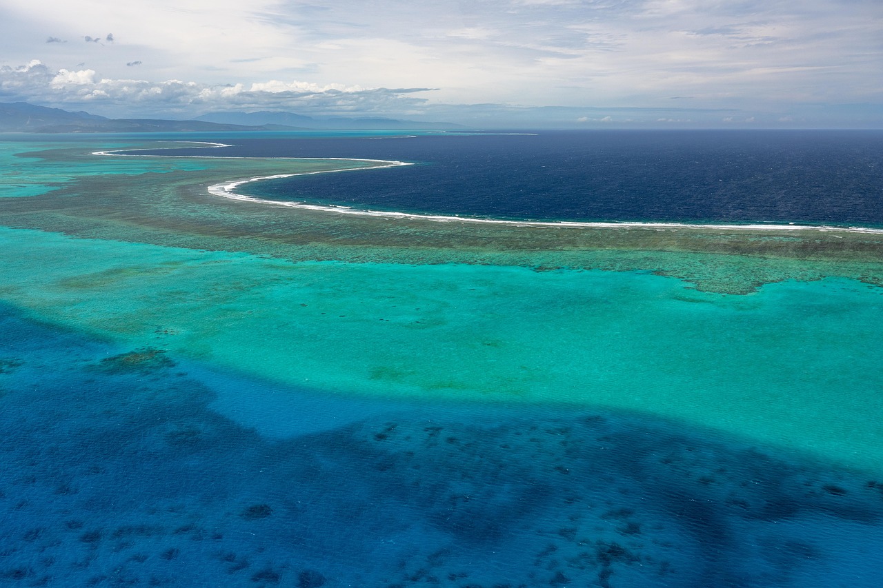 A serene coral lagoon fringed by swaying palms and flanked by dramatic volcanic peaks on Lord Howe Island — a pristine, low-impact paradise off NSW’s east coast Lord Howe Island lagoon with coral reef, palm trees, and volcanic peaks