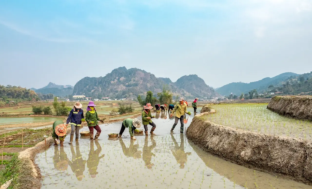 Peaceful rural village in northern Thailand with rice fields and mountains