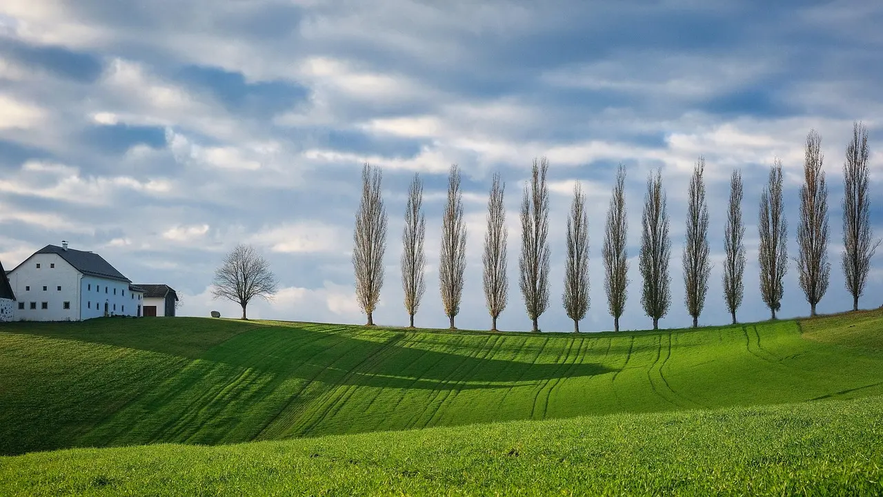 Tuscan countryside with vineyards, cypress trees, and a rustic farmhouse under blue sky